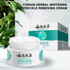 2024 WHITENING SPOT LIGHTENING CREAM